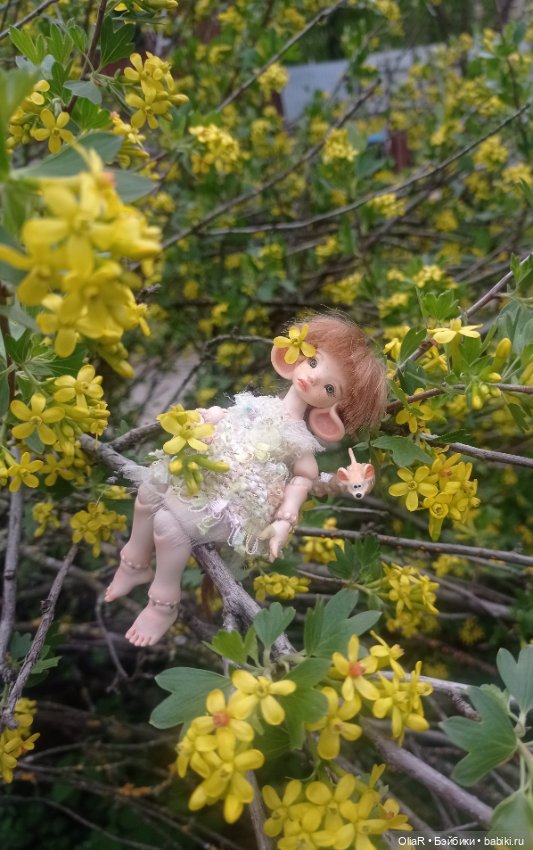 Мышуня и "солнышки" Смородины Золотистой☀ (фото 10)