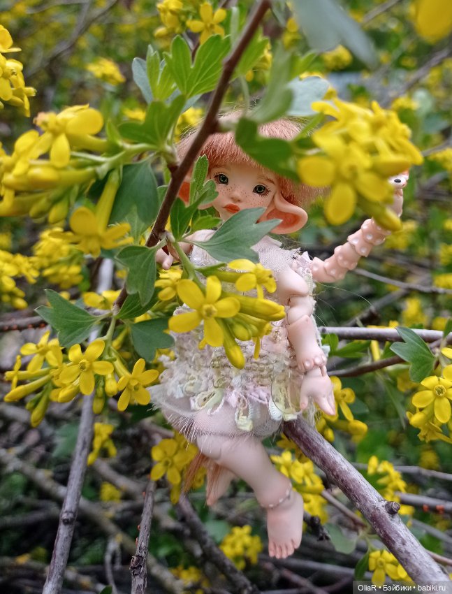 Мышуня и "солнышки" Смородины Золотистой☀