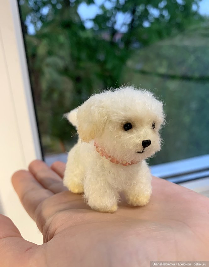 Капитан, капитан, улыбнитесь (фото 7)