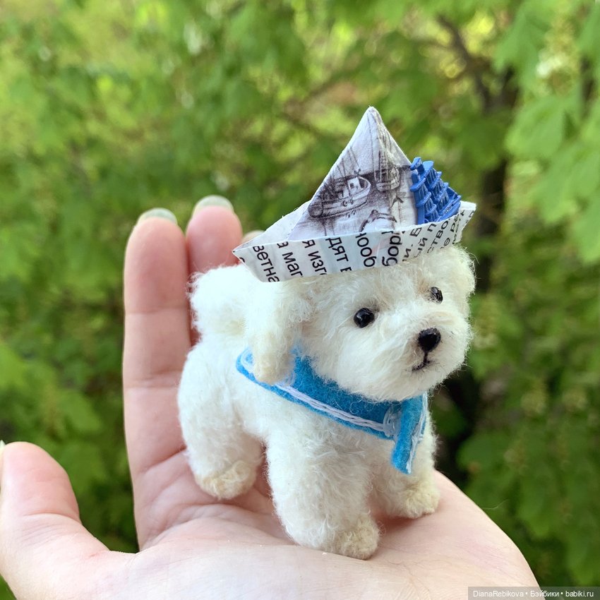 Капитан, капитан, улыбнитесь (фото 6)