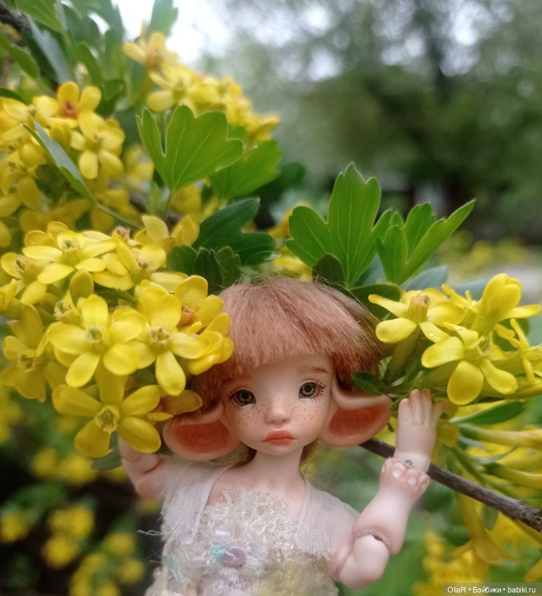 Мышуня и "солнышки" Смородины Золотистой☀ (фото 6)