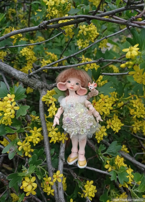 Мышуня и "солнышки" Смородины Золотистой☀