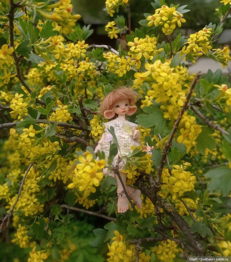 Мышуня и "солнышки" Смородины Золотистой☀ (фото 8)