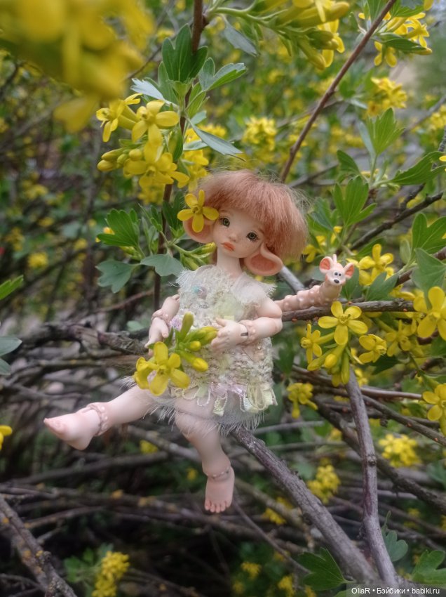 Мышуня и "солнышки" Смородины Золотистой☀ (фото 5)