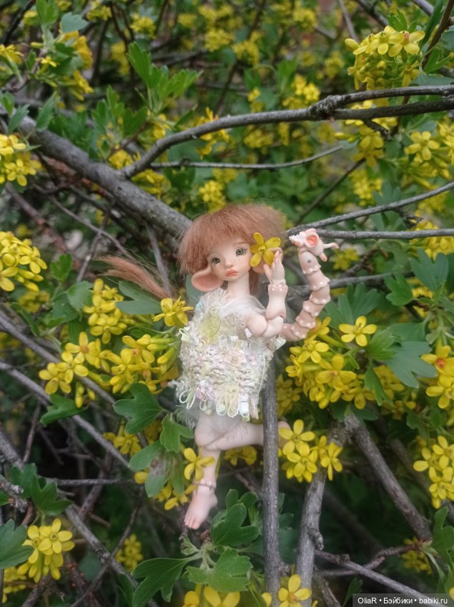 Мышуня и "солнышки" Смородины Золотистой☀ (фото 9)