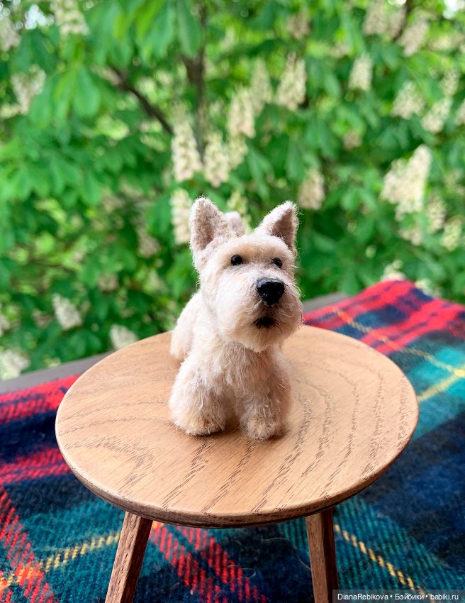 Шотландский пшеничный односолодовый... терьер