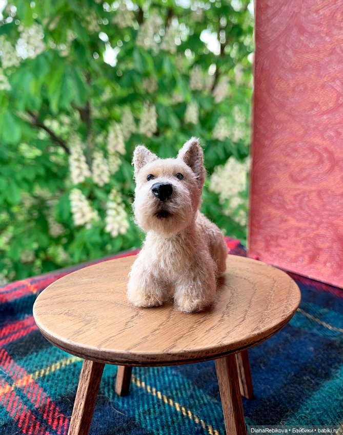 Шотландский пшеничный односолодовый... терьер (фото 4)