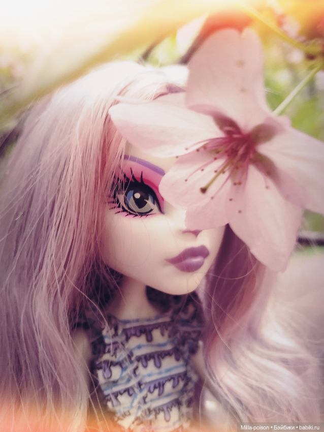 Кэтрин ДеМяу сакура Бирюлёвский дендропарк (фото 9)