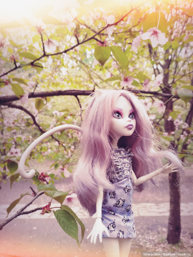 Кэтрин ДеМяу сакура Бирюлёвский дендропарк