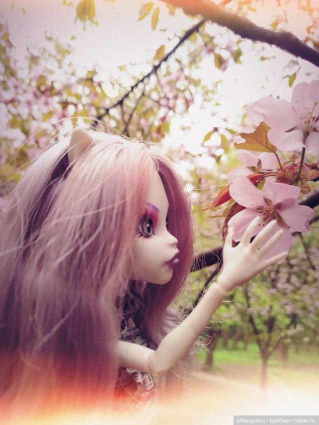 Кэтрин ДеМяу сакура Бирюлёвский дендропарк