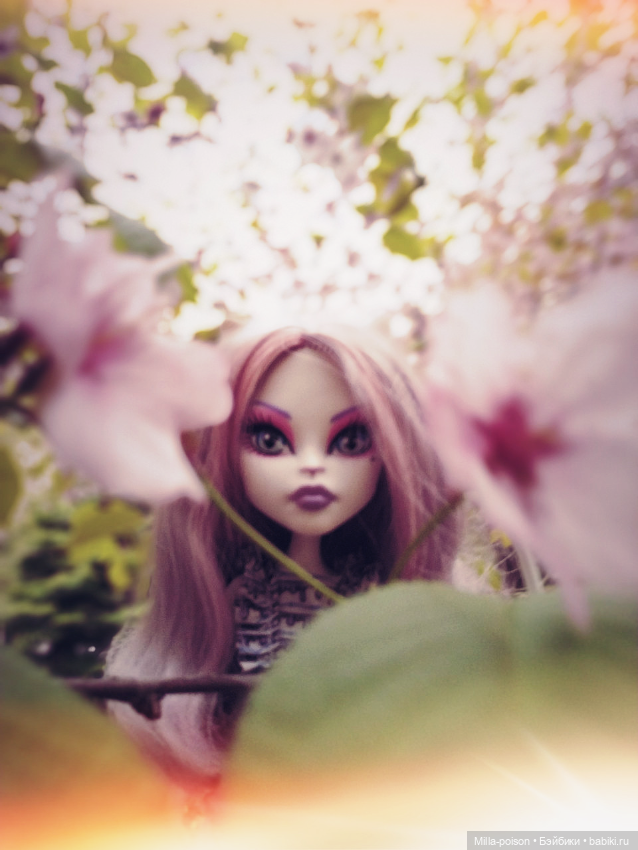 Кэтрин ДеМяу сакура Бирюлёвский дендропарк