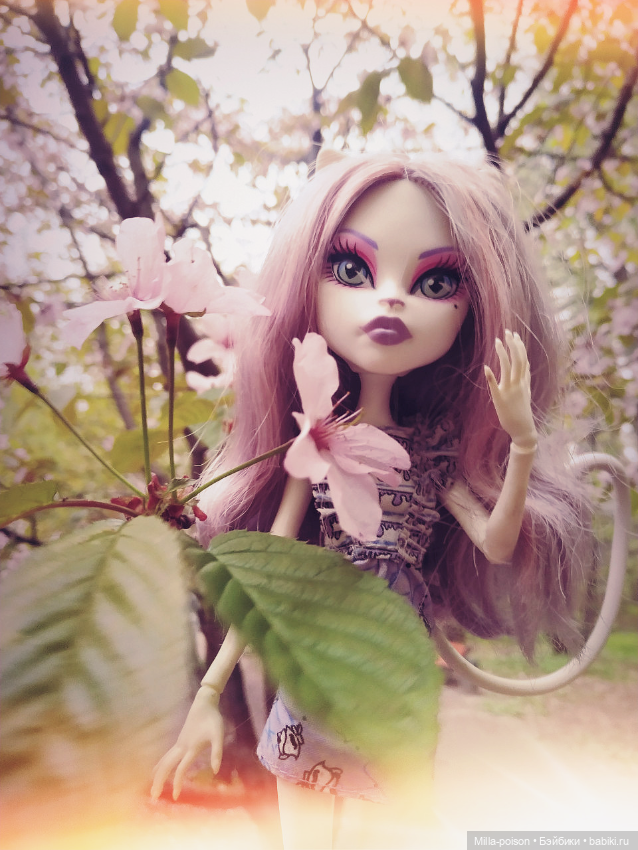 Кэтрин ДеМяу сакура Бирюлёвский дендропарк (фото 4)