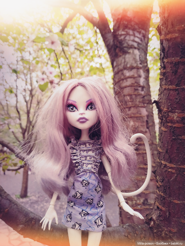 Кэтрин ДеМяу сакура Бирюлёвский дендропарк