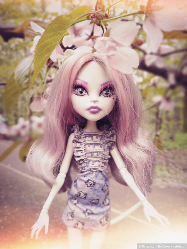 Кэтрин ДеМяу сакура Бирюлёвский дендропарк (фото 8)