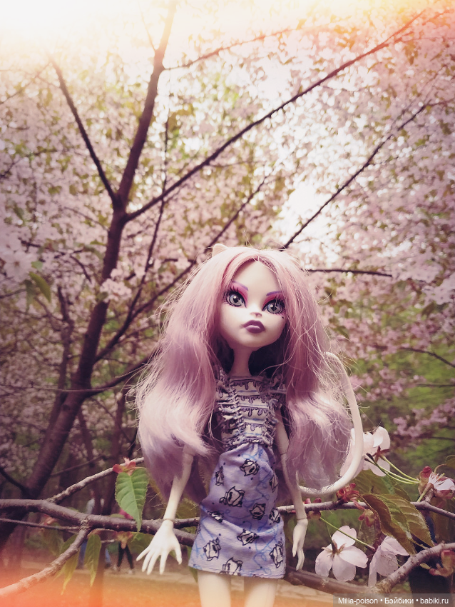 Кэтрин ДеМяу сакура Бирюлёвский дендропарк