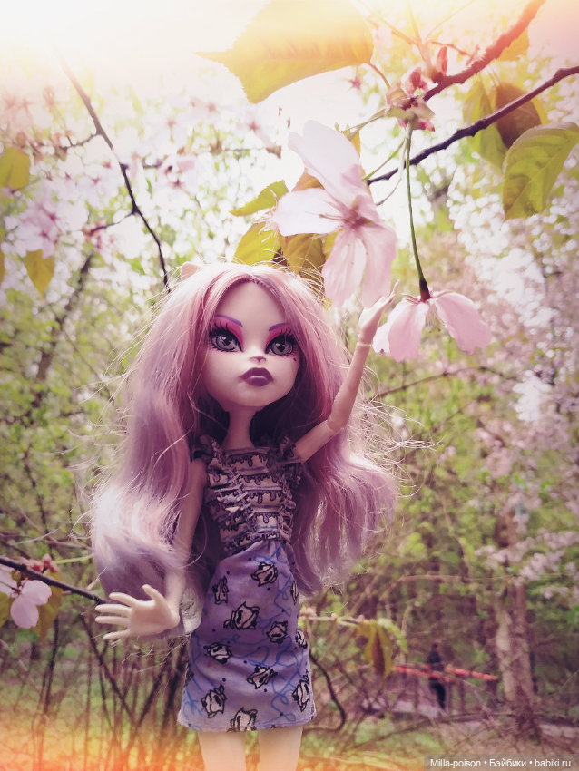 Кэтрин ДеМяу сакура Бирюлёвский дендропарк