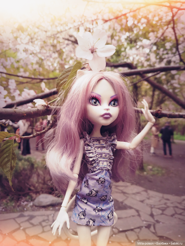 Кэтрин ДеМяу сакура Бирюлёвский дендропарк