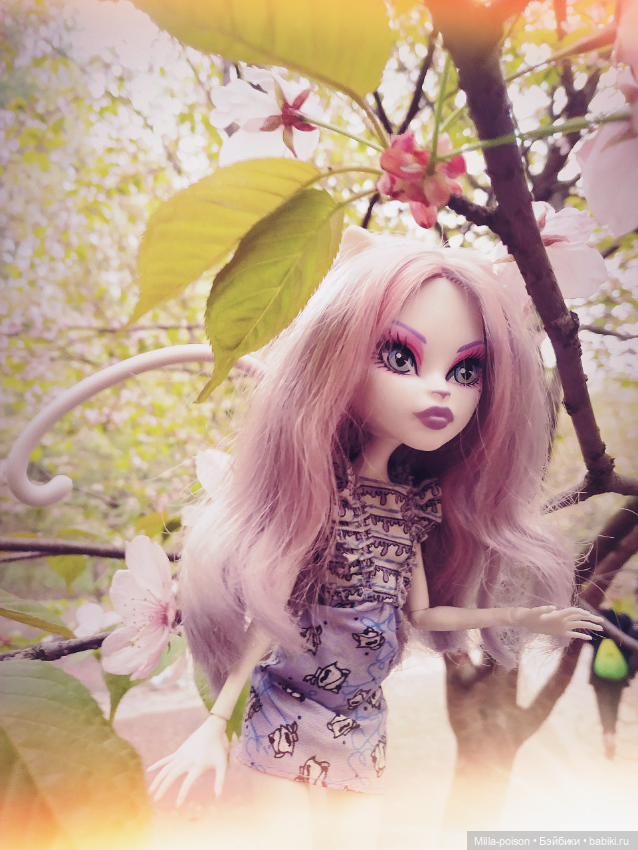 Кэтрин ДеМяу сакура Бирюлёвский дендропарк