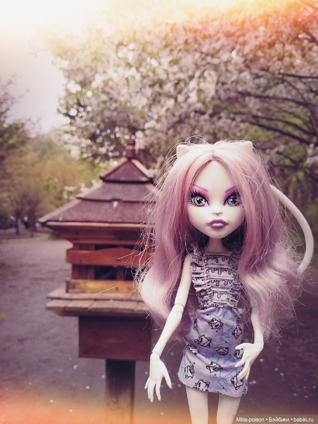 Кэтрин ДеМяу сакура Бирюлёвский дендропарк