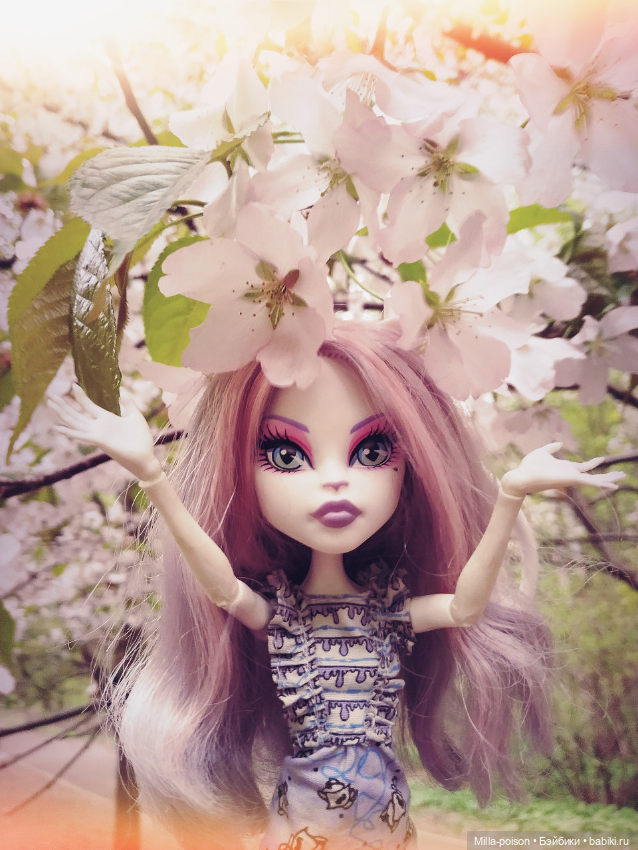 Кэтрин ДеМяу сакура Бирюлёвский дендропарк