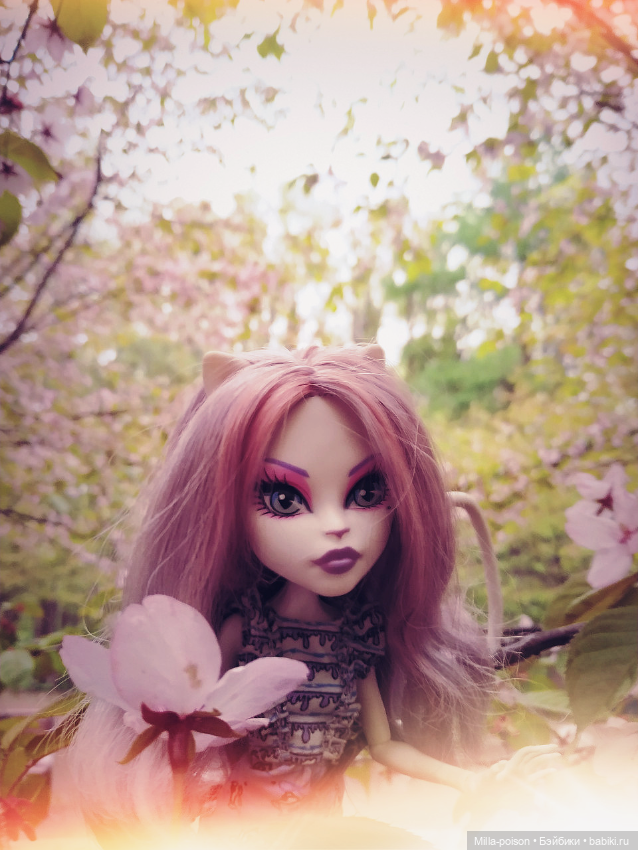 Кэтрин ДеМяу сакура Бирюлёвский дендропарк