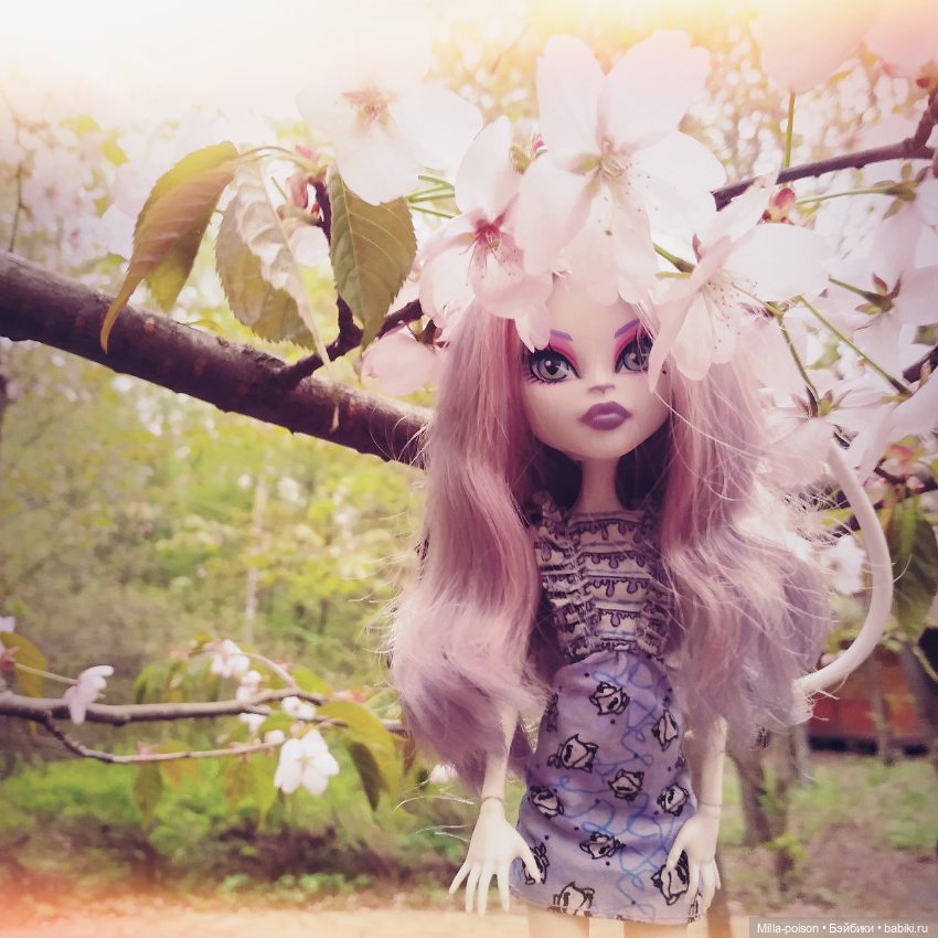 Кэтрин ДеМяу сакура Бирюлёвский дендропарк