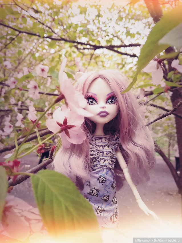 Кэтрин ДеМяу сакура Бирюлёвский дендропарк