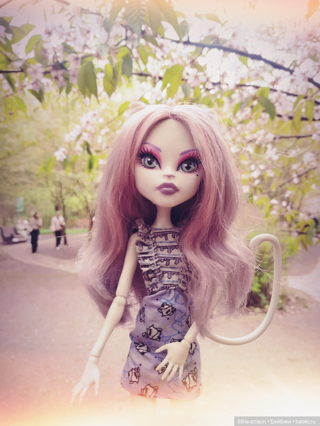 Кэтрин ДеМяу сакура Бирюлёвский дендропарк (фото 2)