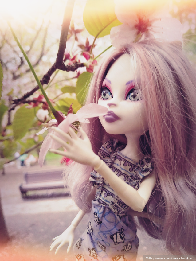 Кэтрин ДеМяу сакура Бирюлёвский дендропарк