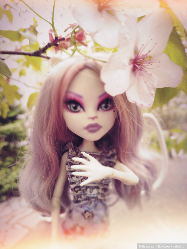 Кэтрин ДеМяу сакура Бирюлёвский дендропарк