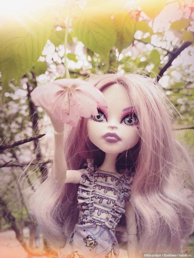 Кэтрин ДеМяу сакура Бирюлёвский дендропарк