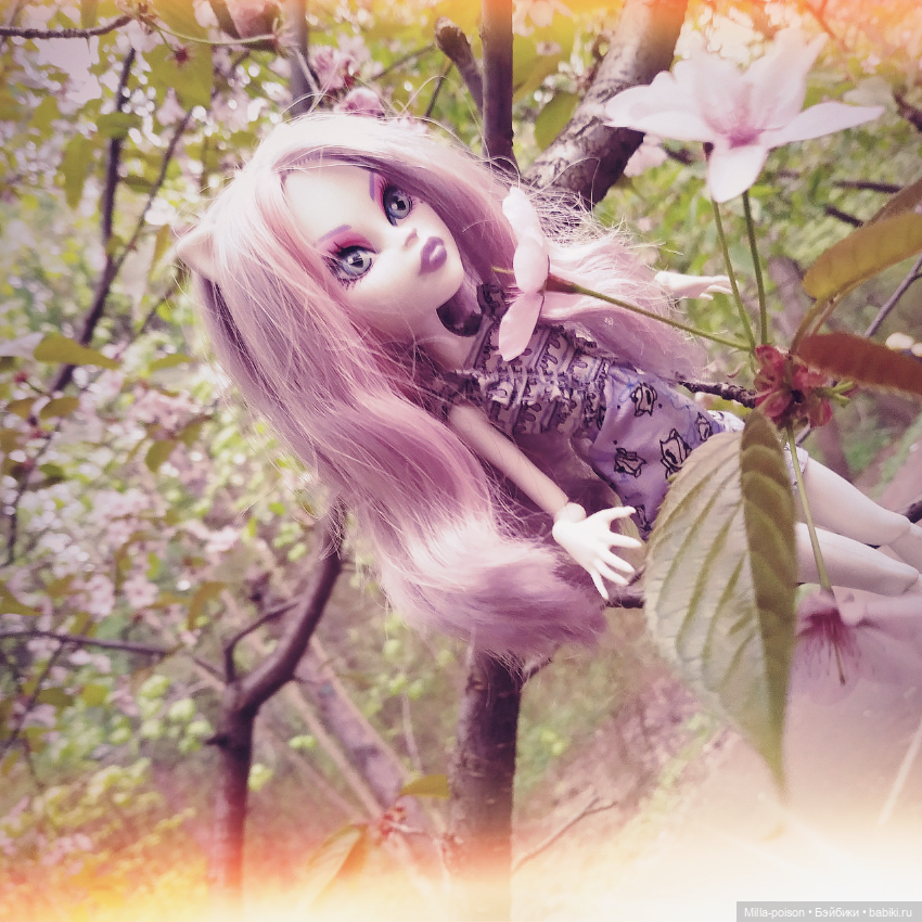 Кэтрин ДеМяу сакура Бирюлёвский дендропарк