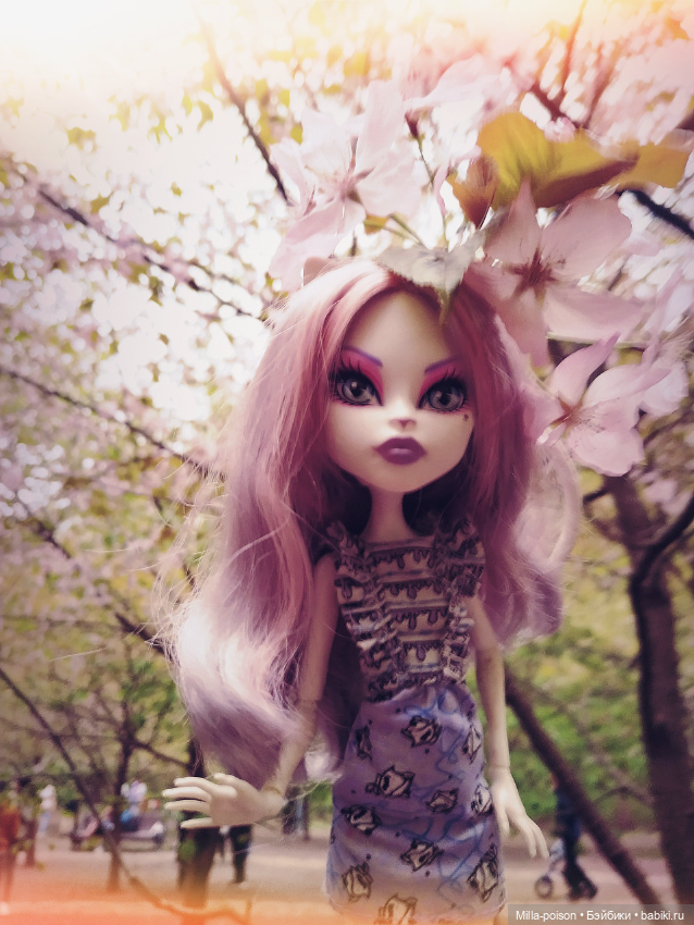 Кэтрин ДеМяу сакура Бирюлёвский дендропарк