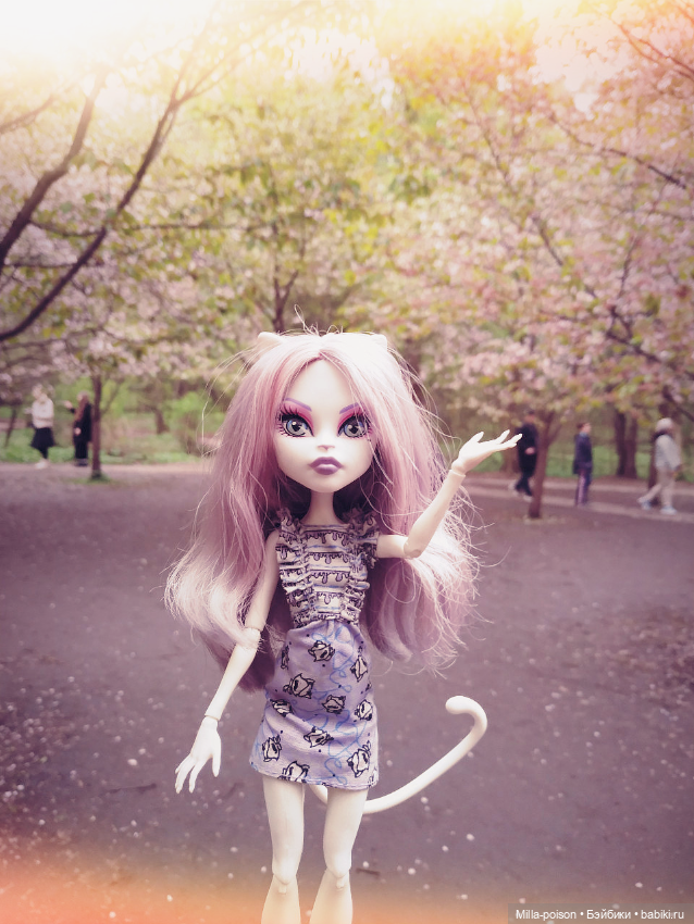 Кэтрин ДеМяу сакура Бирюлёвский дендропарк (фото 6)