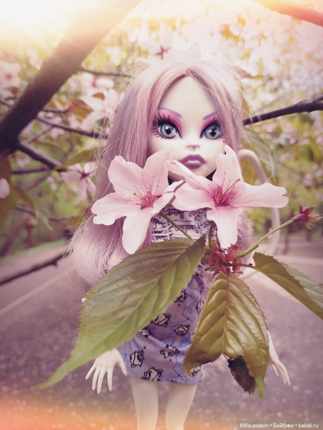 Кэтрин ДеМяу сакура Бирюлёвский дендропарк