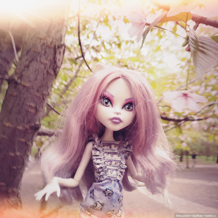 Кэтрин ДеМяу сакура Бирюлёвский дендропарк