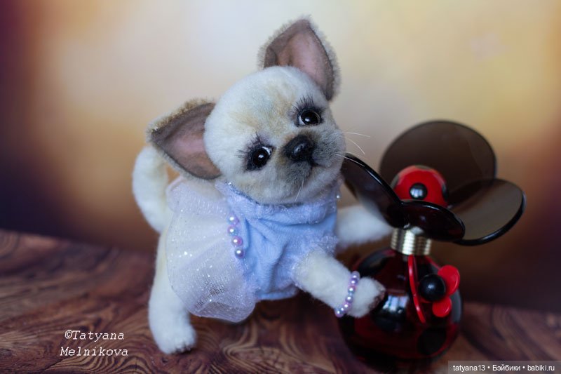 Тедди щенок чихуахуа Маргошечка (фото 10)