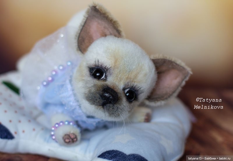 Тедди щенок чихуахуа Маргошечка (фото 4)