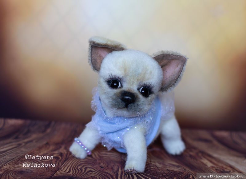 Тедди щенок чихуахуа Маргошечка (фото 8)