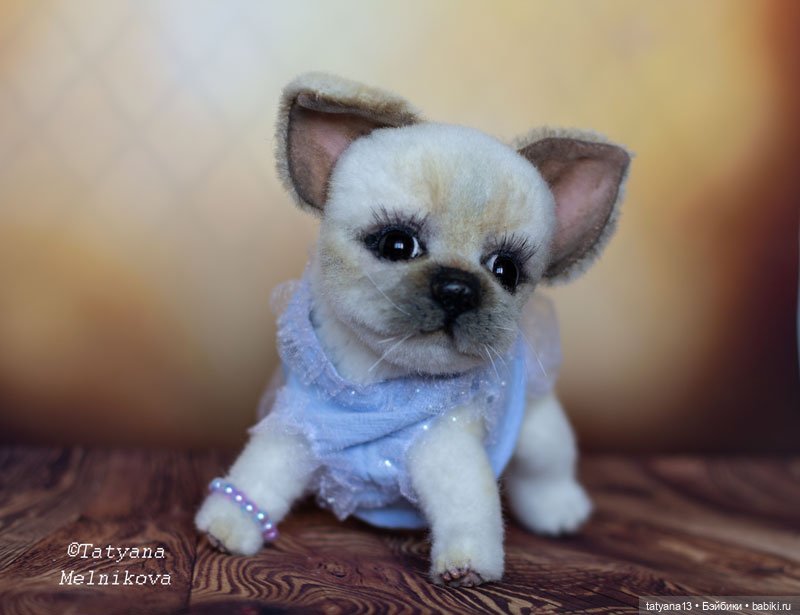 Тедди щенок чихуахуа Маргошечка (фото 7)