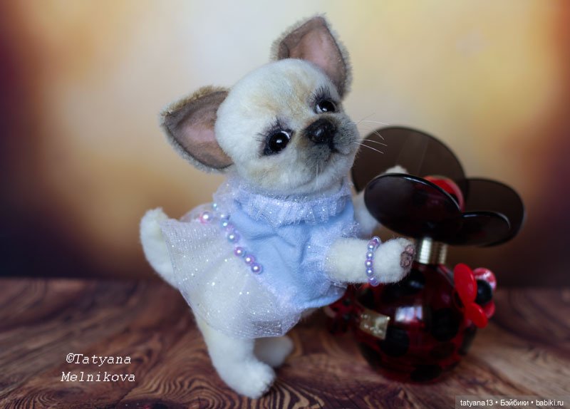 Тедди щенок чихуахуа Маргошечка