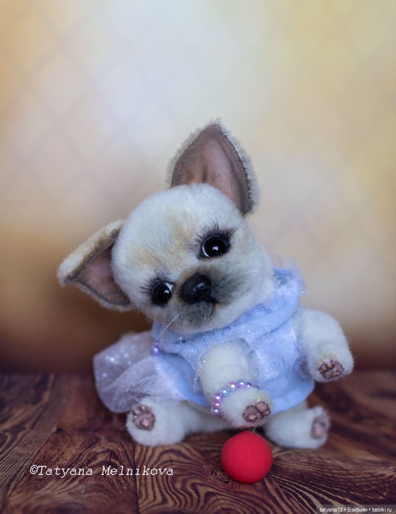 Тедди щенок чихуахуа Маргошечка (фото 6)