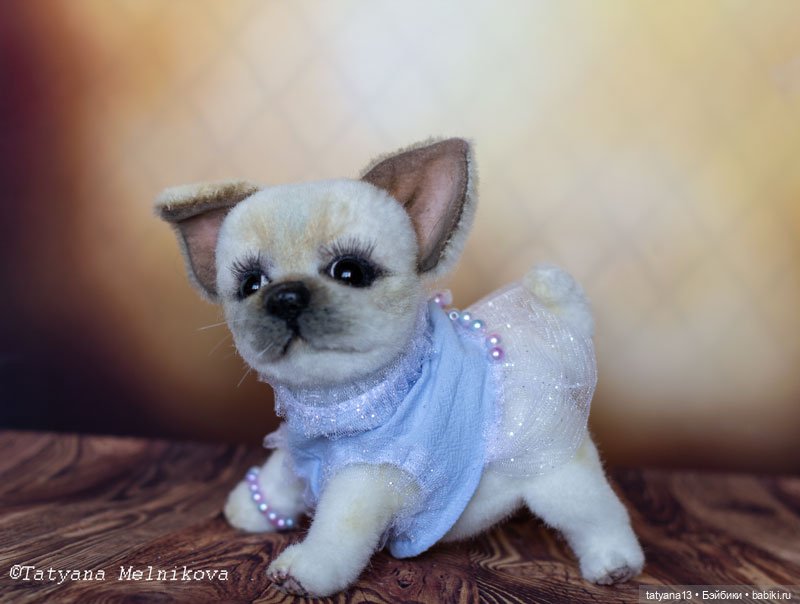 Тедди щенок чихуахуа Маргошечка (фото 9)