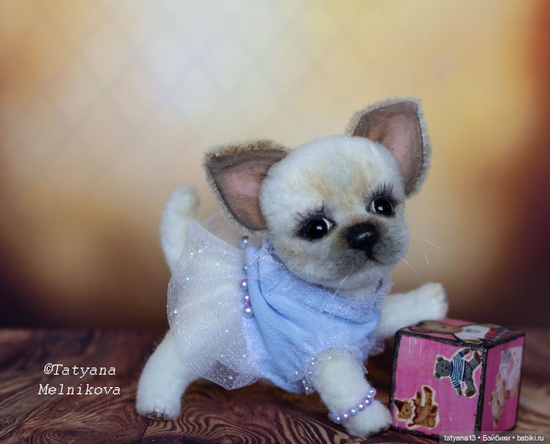 Тедди щенок чихуахуа Маргошечка