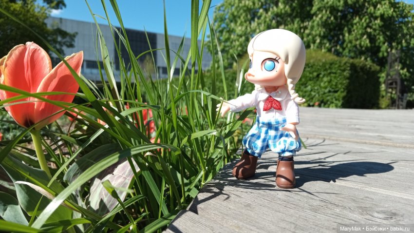 Моя Молли приехала — Фигурки Pop Mart (Поп Март): Blind Box