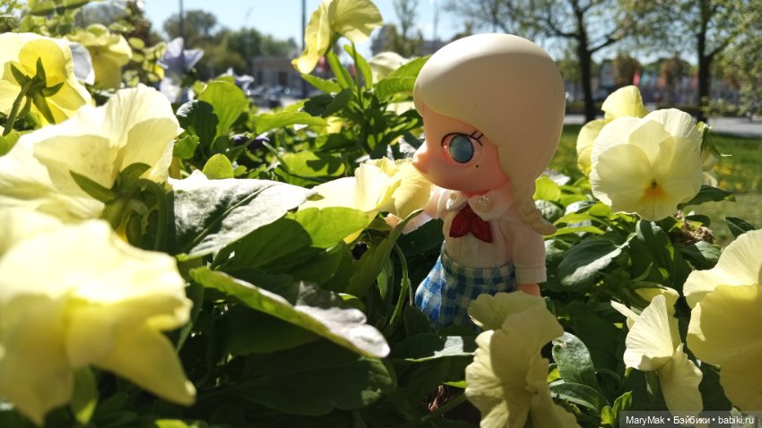 Моя Молли приехала — Фигурки Pop Mart (Поп Март): Blind Box (фото 3)