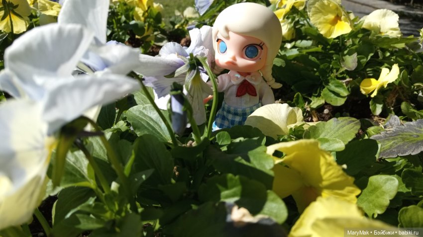 Моя Молли приехала — Фигурки Pop Mart (Поп Март): Blind Box (фото 2)