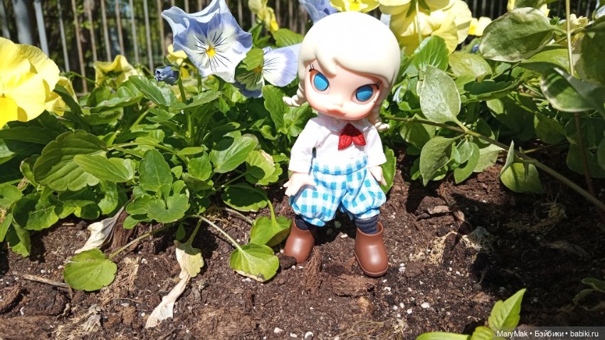 Моя Молли приехала — Фигурки Pop Mart (Поп Март): Blind Box