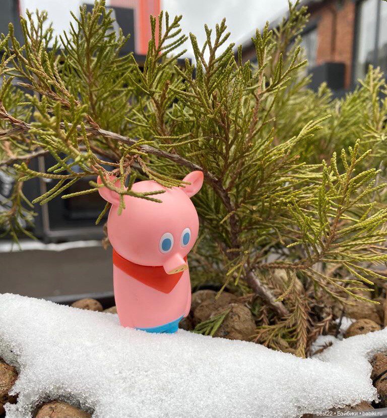 Поросенок Ву. Продолжаем гулять (фото 8)