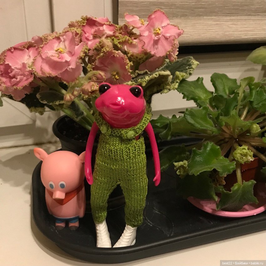 Поросенок Ву. Продолжаем гулять